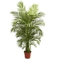 thumbnail image 1 of 4.5 ft. Areca Palm UV Resistant - Indoor-Outdoor, 1 of 1