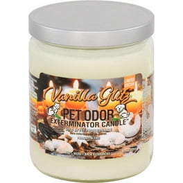 Pet odor candles walmart hotsell