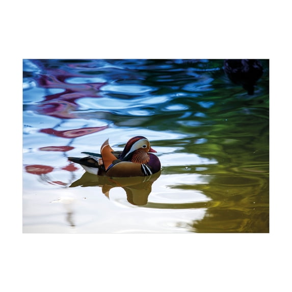 Ambesonne Africa Jigsaw Puzzle, Chinese Ducks in River, Heirloom-Quality Fun Activity for Family Durable Cardboard, 1000 pcs, Multicolor