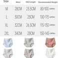 Ciracla Lushybum High Waisted Panties - Leakproof, Tummy Control, Ultra Soft Shaping Undies For Women