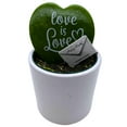 thumbnail image 4 of Hoya Kerri Heart with Painted Message, Decorative Green Kerrii Heart, Sweet Message in 2 inch Pot, 4 of 8