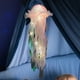 thumbnail image 1 of Jellyfish Atmosphere Nightlight Creative Dormitorio Lámpara de luz para la decoración de la habitación (Rosa), 1 of 4