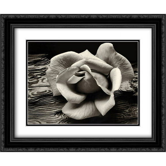 FrameToWall - Rose and Driftwood 2x Matted 24x20 Black Ornate Framed Art Print by Ansel Adams