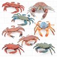 thumbnail image 6 of Fairnull Simulation Animal Model Vivid Intelligence Development Solid Aquarium Miniature Crab Cognition Education Toy for Home, 6 of 10