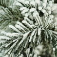 thumbnail image 3 of Northlight 20" Unlit Artificial Flocked Pine Tree in Pot, 3 of 3