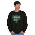 thumbnail image 5 of Washington Pacific Evergreen State Sweatshirt for Men or Women Brisco Brands S, 5 of 6