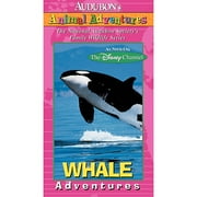 Audubon Animal Adventures: Whale Adventures (Full Frame)