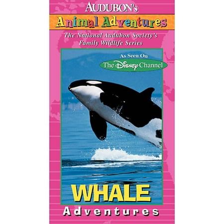Audubon Animal Adventures: Whale Adventures (Full Frame)