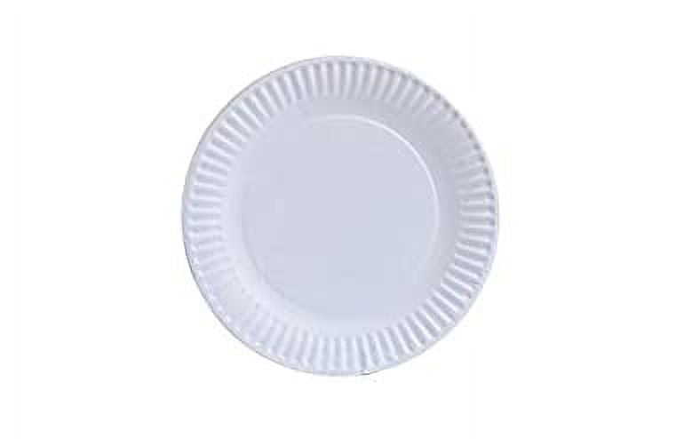 Perfect Stix Paper Plate 6 Paper Plates White, Pack of 300 (Packaging May  Vary) 