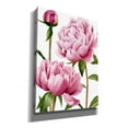 thumbnail image 2 of Epic Graffiti 'Winsome Peonies I' by Grace Popp, Canvas Wall Art, 40"x54", 2 of 2