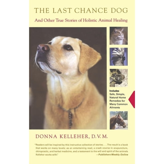 The Last Chance Dog: And Other True Stories of Holistic Animal Healing, (Paperback)