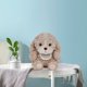 thumbnail image 1 of Juguetes para piscina, juguetes para bebés, juguetes para niños pequeños. Adorable perrito de peluche suave para que los niños duerman plácidamente. Regalo reconfortante., 1 of 5
