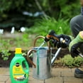 thumbnail image 3 of Solution de démarrage pour plantation et repiquage Miracle-Gro Quick Start - 1,4 L, 3 of 6