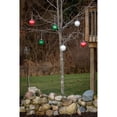 thumbnail image 2 of Xodus 5 In. Shatter Resistant LED Outdoor Christmas Ornament WP5ST-24 Pack of 24, 2 of 6