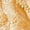 Beige, variant on Seamless High Waisted Thong Panty With Lace Jacquard For Women Underwear See Through Panties