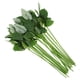 thumbnail image 5 of RomaMX 30pcs Flor artificial Floral STEM Hojas de rosa artificial con tallos para bricolaje, 5 of 7