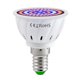 thumbnail image 2 of LED Grow Light Bulb for Indoor Plants Red & Blue Spectrum LED Plant Light Bulbs E14 Growing Lamp for, 2 of 5