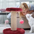 thumbnail image 4 of Cat Scratching Post Sisal Cat Claw Scratcher Pole for Kitten Indoor Cat Scratch Post, 4 of 6