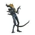 thumbnail image 1 of NECA - Figurine Articulée Aliens à l'Échelle de 7 Pouces - Série 12 Guerrier Xénomorphe Bleu (Abîmé au Combat), 1 of 1