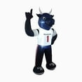 thumbnail image 2 of Houston Texans Inflatable Mascot, 2 of 5