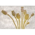 thumbnail image 2 of Kimberly, Allen 32x23 Gold Ornate Wood Framed with Double Matting Museum Art Print Titled - Poppy Buds, 2 of 4