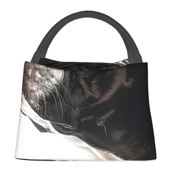 Easygdp Black And White Boston Terrier Bolsa de Almuerzo Insulada Reutilizable, Bolsa de Mano y Bandolera para Oficina, Trabajo, Viajes
