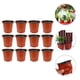 thumbnail image 3 of 50 macetas de plástico para flores, útiles para plantas suculentas., 3 of 7