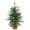 Green, variant on 20" Feel Real Artificial Christmas Tree, Fir Christmas Tree, Premium Xmas Tree for Home, Office, Party Decoration, Includes Bag Base, Green