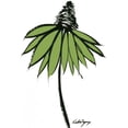 thumbnail image 3 of Velasquez, Deborah 15x18 Black Modern Framed Museum Art Print Titled - Graphic Cone Flower II, 3 of 5