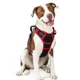 thumbnail image 1 of Arnés para perros Rabbitgoo, sin tirón, ajustable para perros grandes, 1 of 7