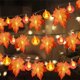 thumbnail image 1 of 10/20/40 LED Pumpkin Maple Leaf Garland String Lights Halloween Lights Lamp Thanksgiving Fall Halloween Party Garden DecorationUnited States1.5m 10 lights He Qiyong unisex, 1 of 1