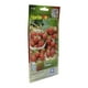 thumbnail image 2 of Pack De 2 Semillas De Fresa Hortaflor 15-20 Cm, 2 of 2