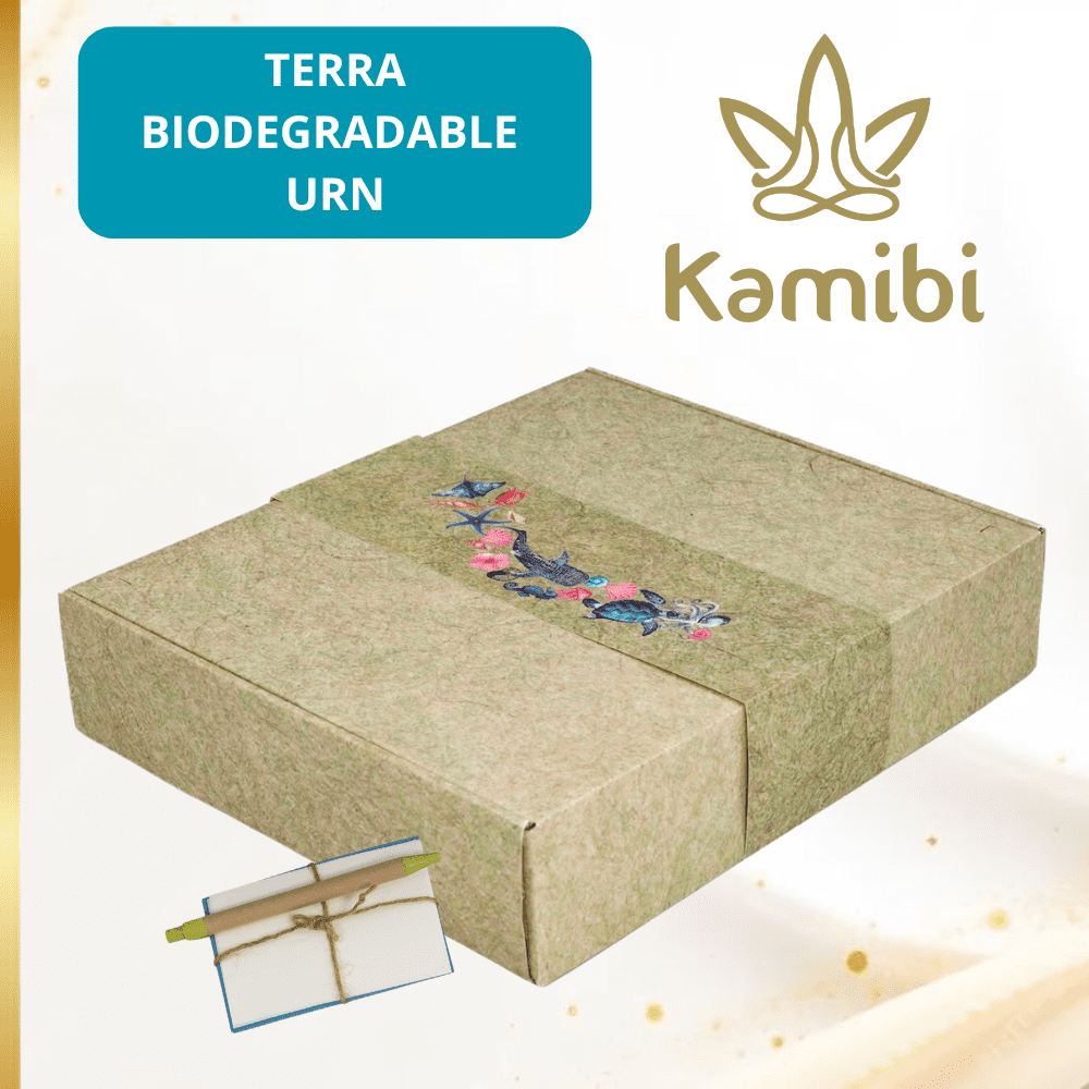 Biodegradable Urn for Human Ashes, Eco-Friendly Urn for Water or Earth Burial, Includes Water Soluble Ash Bag, Adult Size 3" H x 12" W x 14" L.