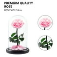 thumbnail image 3 of Eternal Rose in Glass Dome Romantic Aesthetic Artificial Eternal Rose Flower in Glass Dome Gift Mother's Day Supplies-Pink, 3 of 8