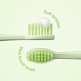 thumbnail image 3 of Ordo Sonic Kids Battery Toothbrush - Squishmallows Rutabaga - Green, 3 of 6