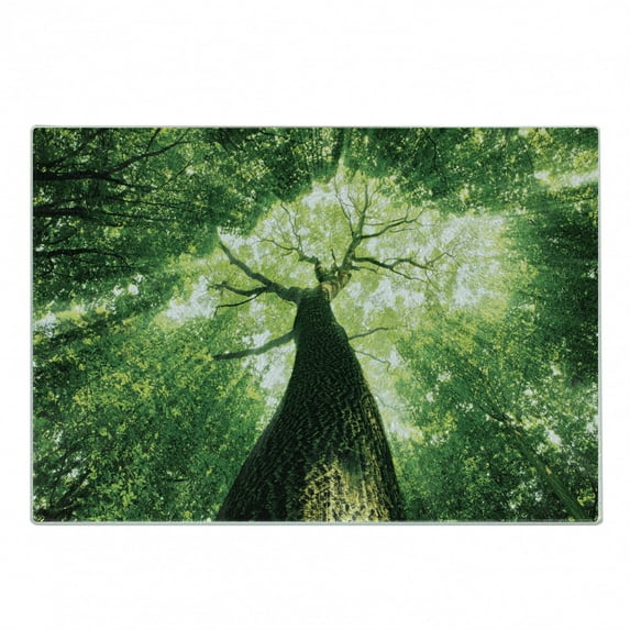 Nature Cutting Board, Sun Rays to Woodland Wild Habitat Summer Rays Dreamy Foliage Park Landscape Photo Art, Decorative Tempered Glass Cutting and Serving Board, Small Size, Green, by Ambesonne
