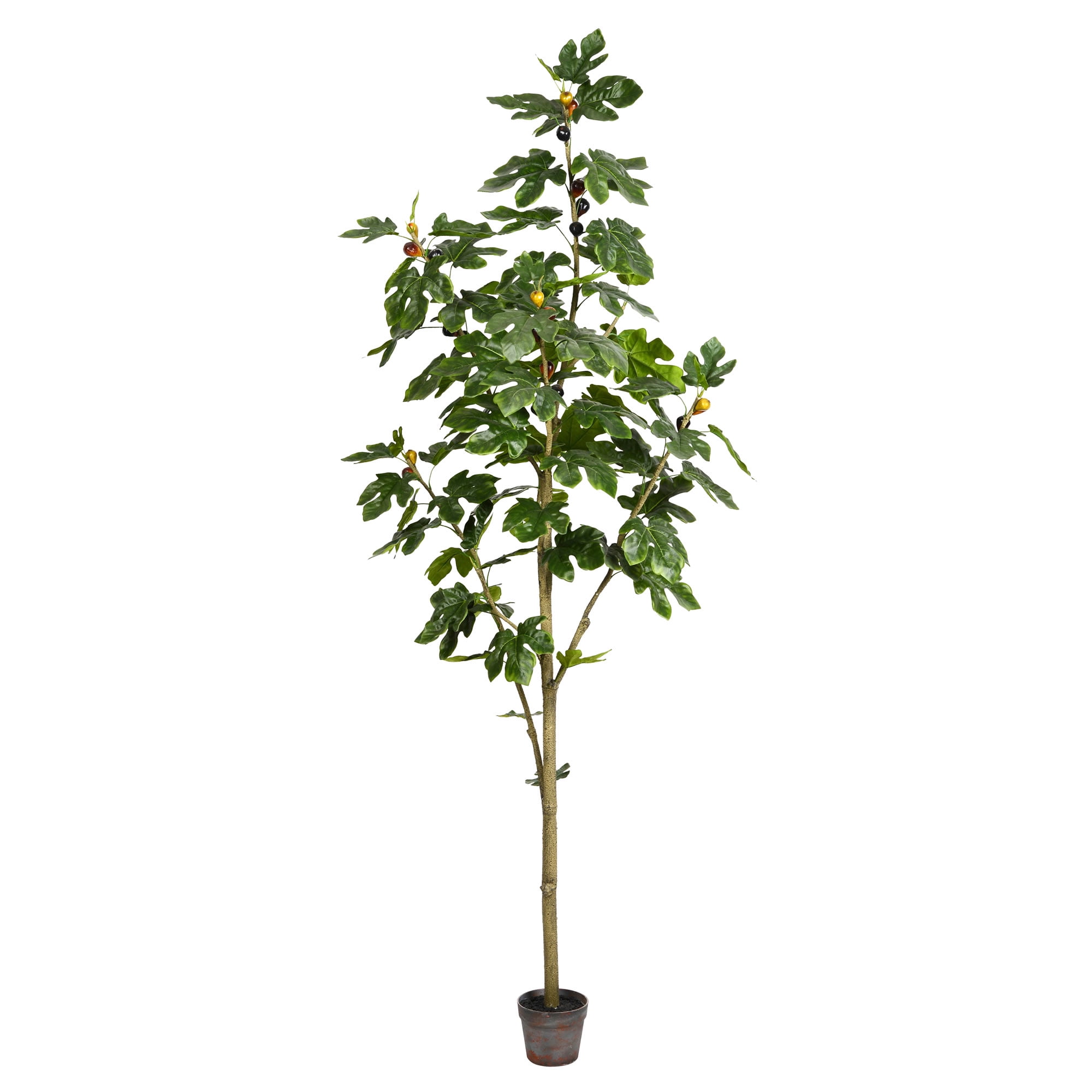 Vickerman Everyday Artificial Fig Leaf Tree 7ft Tall Green Indoor