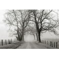 thumbnail image 2 of Bell, Nicholas 18x13 White Modern Wood Framed Museum Art Print Titled - Sparks Lane, Late Autumn, 2 of 4