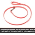 thumbnail image 4 of Regal Dog Products Waterproof Leash – 5 ft. Orange Dog Leash with Easy to Use Collar Hook, Lightweight, and Proof Training Pet Lead with vinyl-coated webbing for Small, Medium, Large, or XL Dogs, 4 of 9
