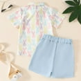 thumbnail image 3 of Fsqjgq Toddler Baby Boys Clothes Baby Easter Outfits New Short Sleeved Rabbit Carrot Print Casual Shorts Suit Summer Shirts Clothing Sets 18M, 3 of 9