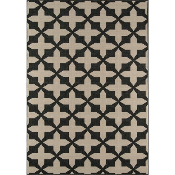 Momeni Baja Crisscross Indoor Outdoor Rug Charcoal 3'11" x 5'7" 4' x 6' Outdoor, Indoor Beige
