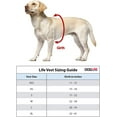 thumbnail image 3 of DogLine - Dog Life Jacket Dog Life Vest for Swimming and Boating in Hi-Viz Colors with Reflective Strips Mesh Underbelly for Draining and Drying and Top Carry Handle(Neon Orange: Girth 11" - 15"), 3 of 7
