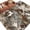 Multicolor, variant on Brown Beige Abstract Art Area Rugs 5'x7', Washable Small Throw Rugs for Laundry Room Playroom, Farmhouse Color Shabby Indoor Outdoor Rug Non-Slip Low Pile Carpet Runner Reversible Floor Mats