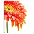 thumbnail image 2 of Gerbera Orange sur Fond Blanc - Impression sur Toile Florale, 2 of 3