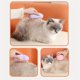 thumbnail image 2 of Pet Cleaning Brush Massage Combing One Click to Remove the Fur, A, 2 of 5