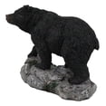 thumbnail image 6 of Rustic Wildlife Forest Black Bear Walking On River Rock Steppes Figurine, 6 of 9