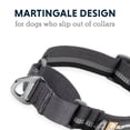 thumbnail image 4 of Ruffwear , Collier pour Chien à Réaction Web, Collier Martingale pour la Marche en Laisse, Vert Rivière et Roche, 20 Pouces-23 Pouces, 4 of 9