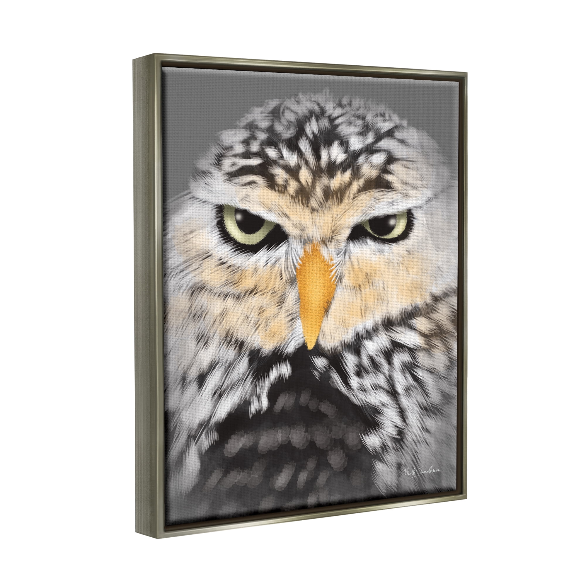 Stupell Industries Owl Wildlife Portrait Animals & Insects Painting Gray Floater Framed Art Print Wall Art, 17 x 21