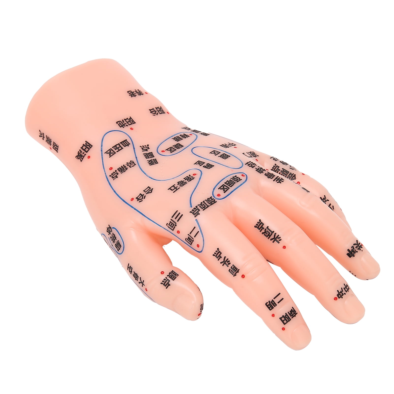 Ymiko Homan Hand Acupuncture Model,Hand Acupuncture Teaching Model,Left