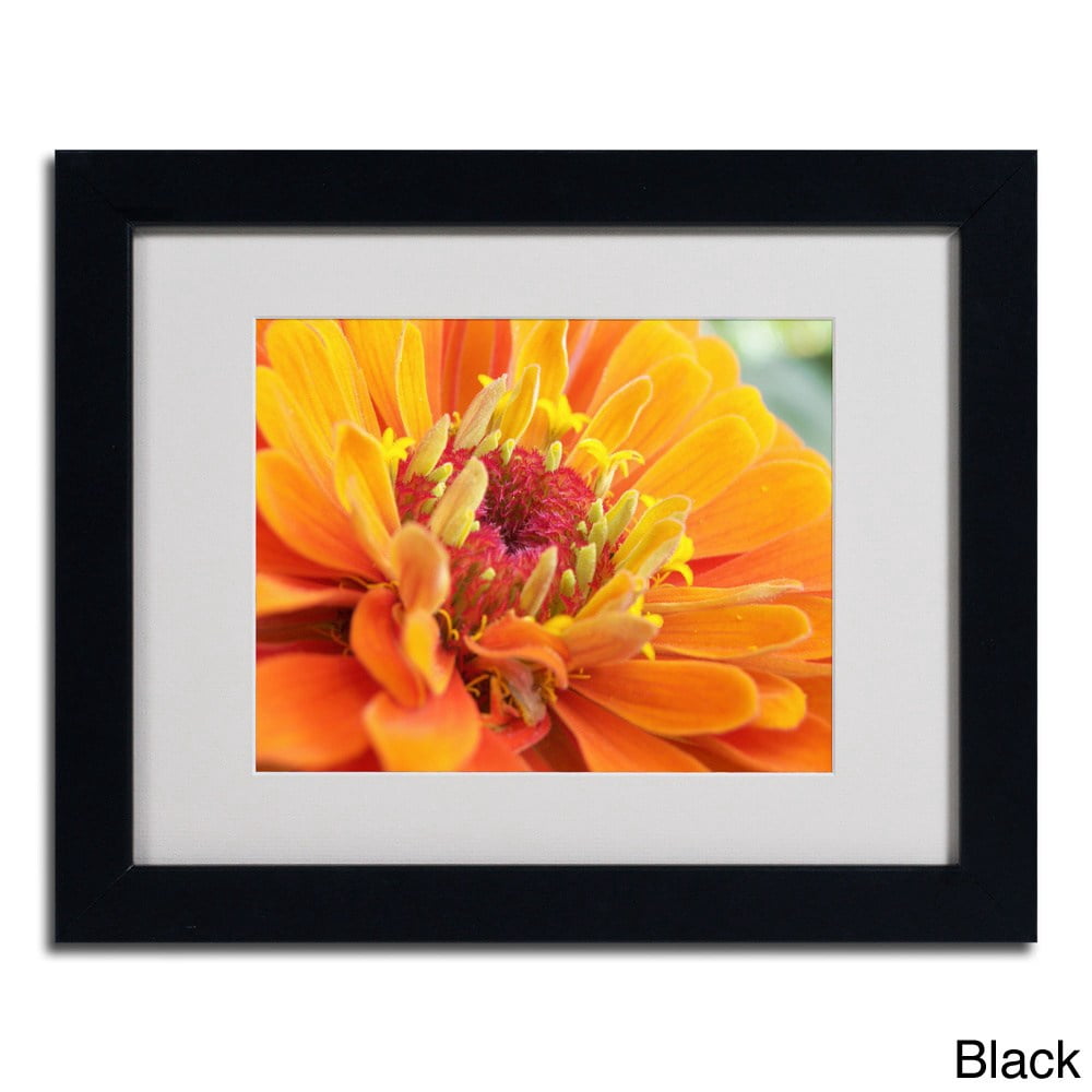 Trademark Fine Art "Balanced Beauty" by Monica Fleet, Wood Frame